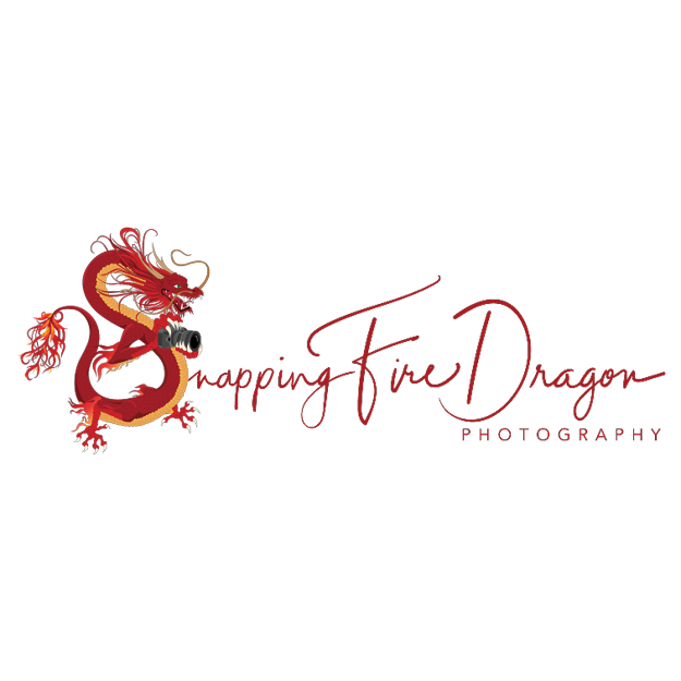 Logo_SnappingFireDragon